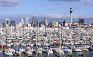 auckland4