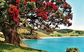 bay of islands