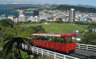 wellington1